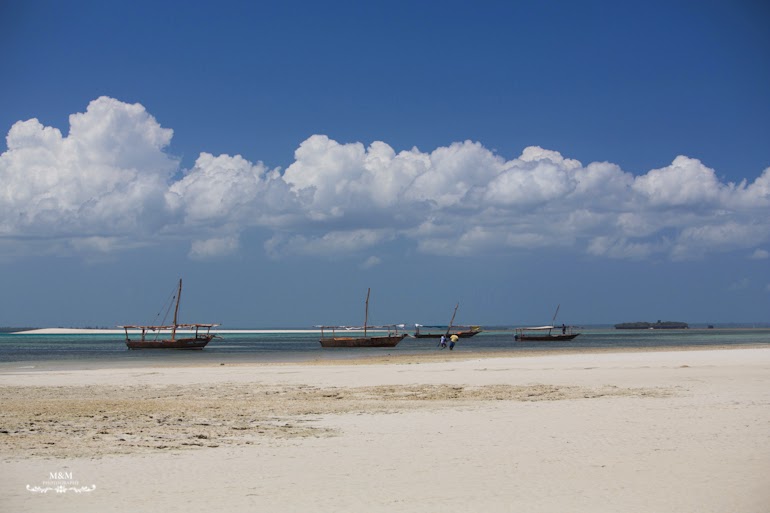 safari blue zanzibar 33