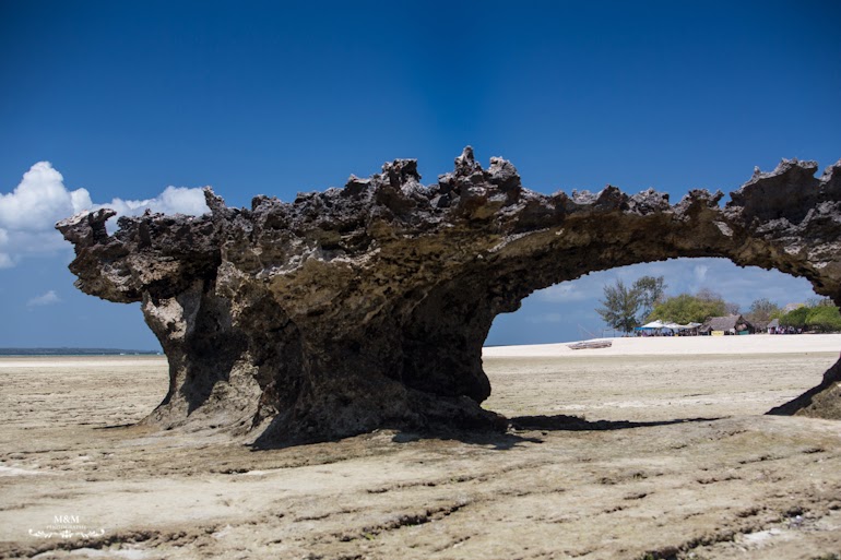 safari blue zanzibar 34