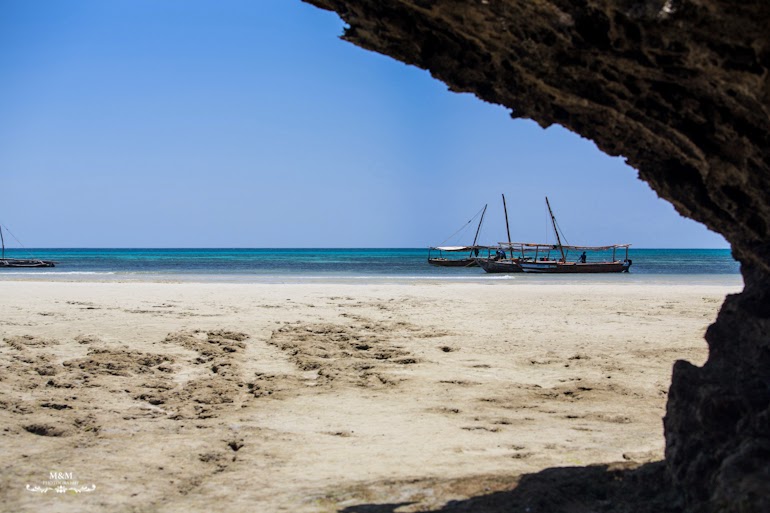 safari blue zanzibar 35