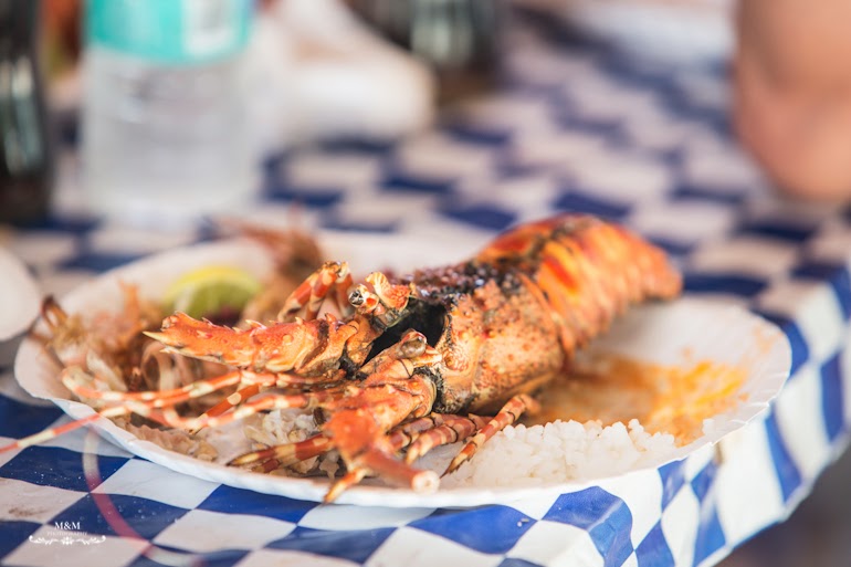 safari blue zanzibar 36