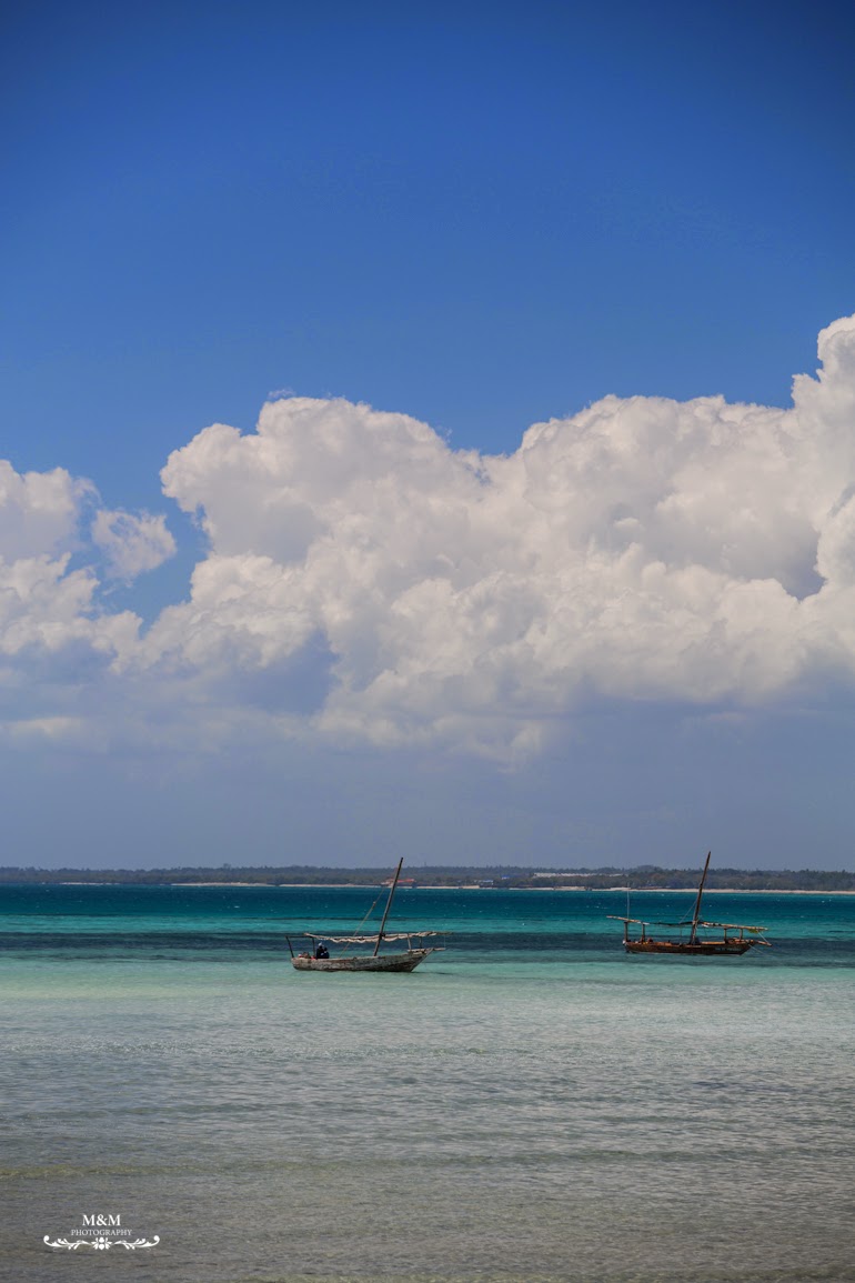 safari blue zanzibar 37