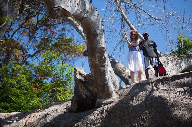 safari blue zanzibar 39