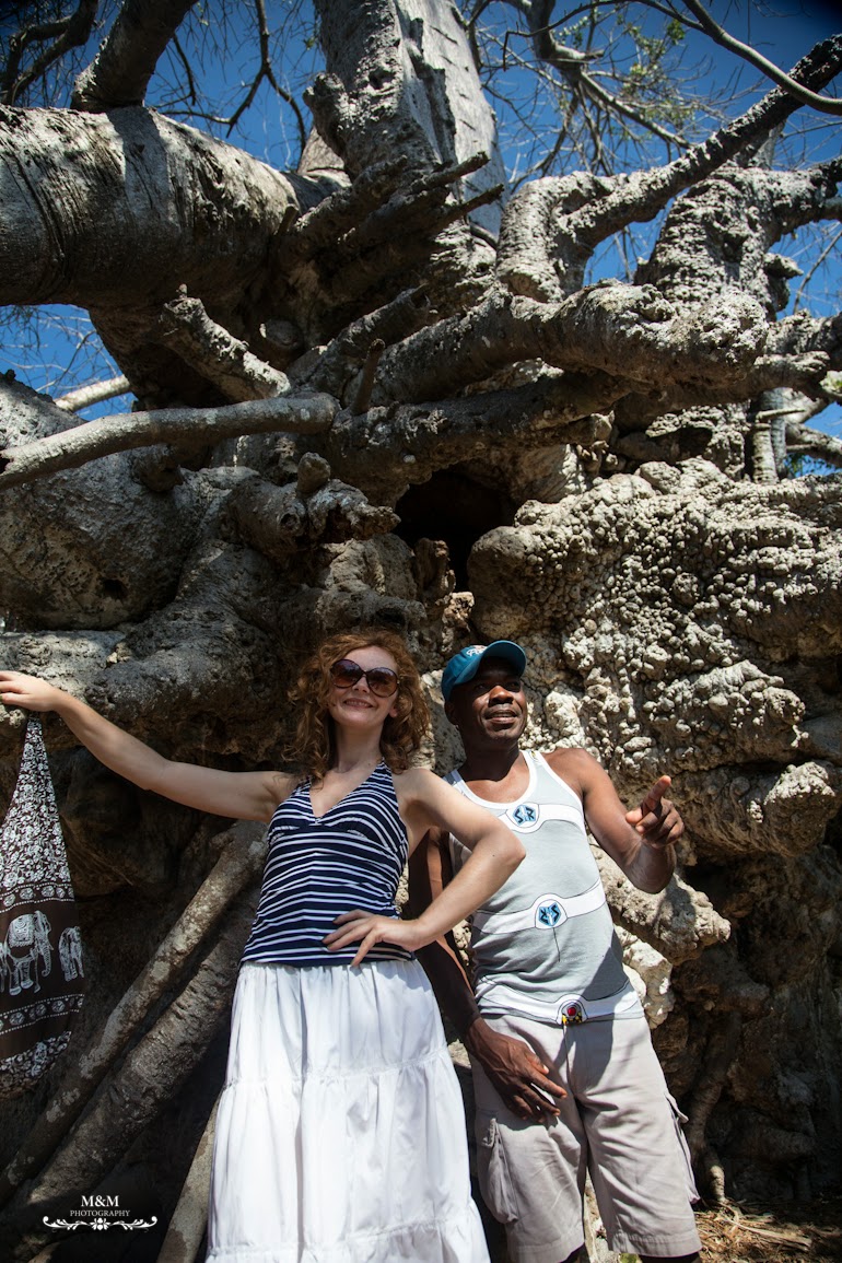 safari blue zanzibar 40