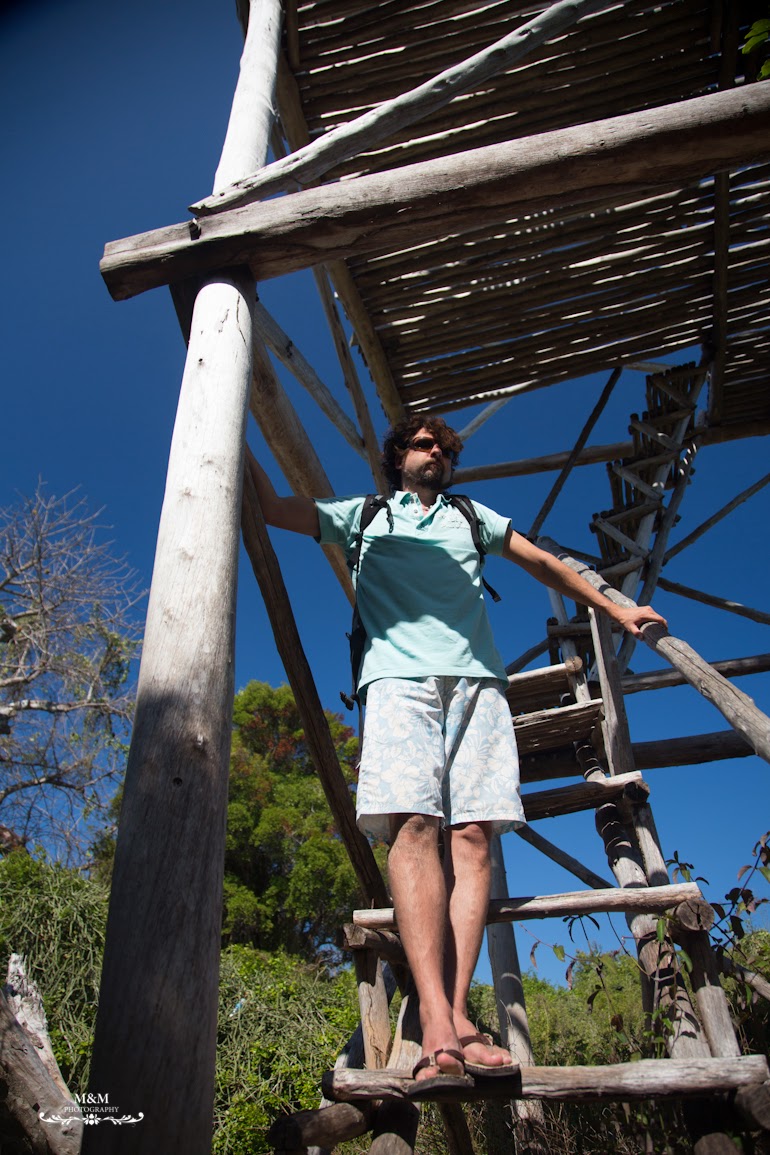 safari blue zanzibar 41