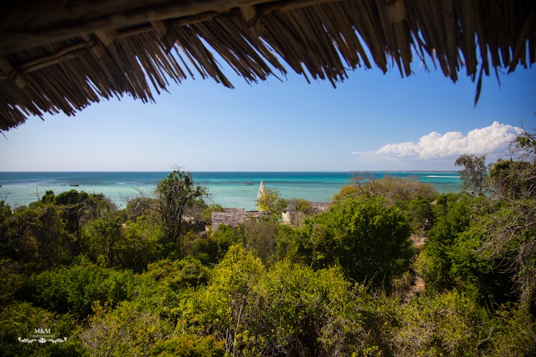 safari blue zanzibar 42