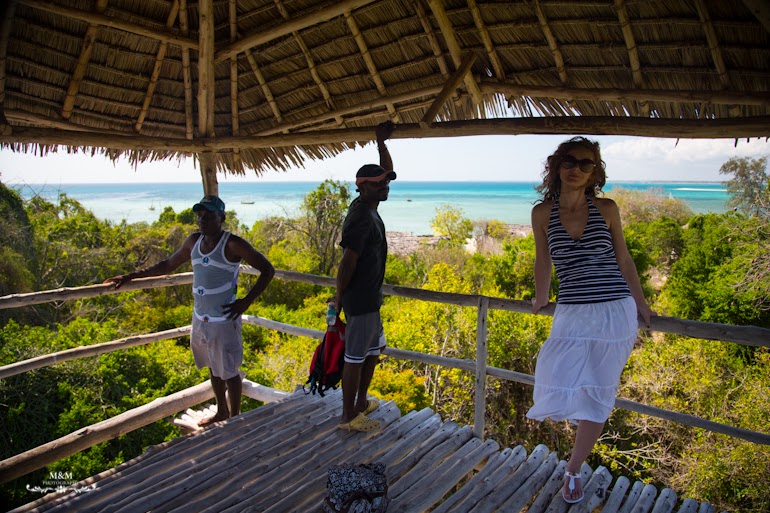 safari blue zanzibar 43