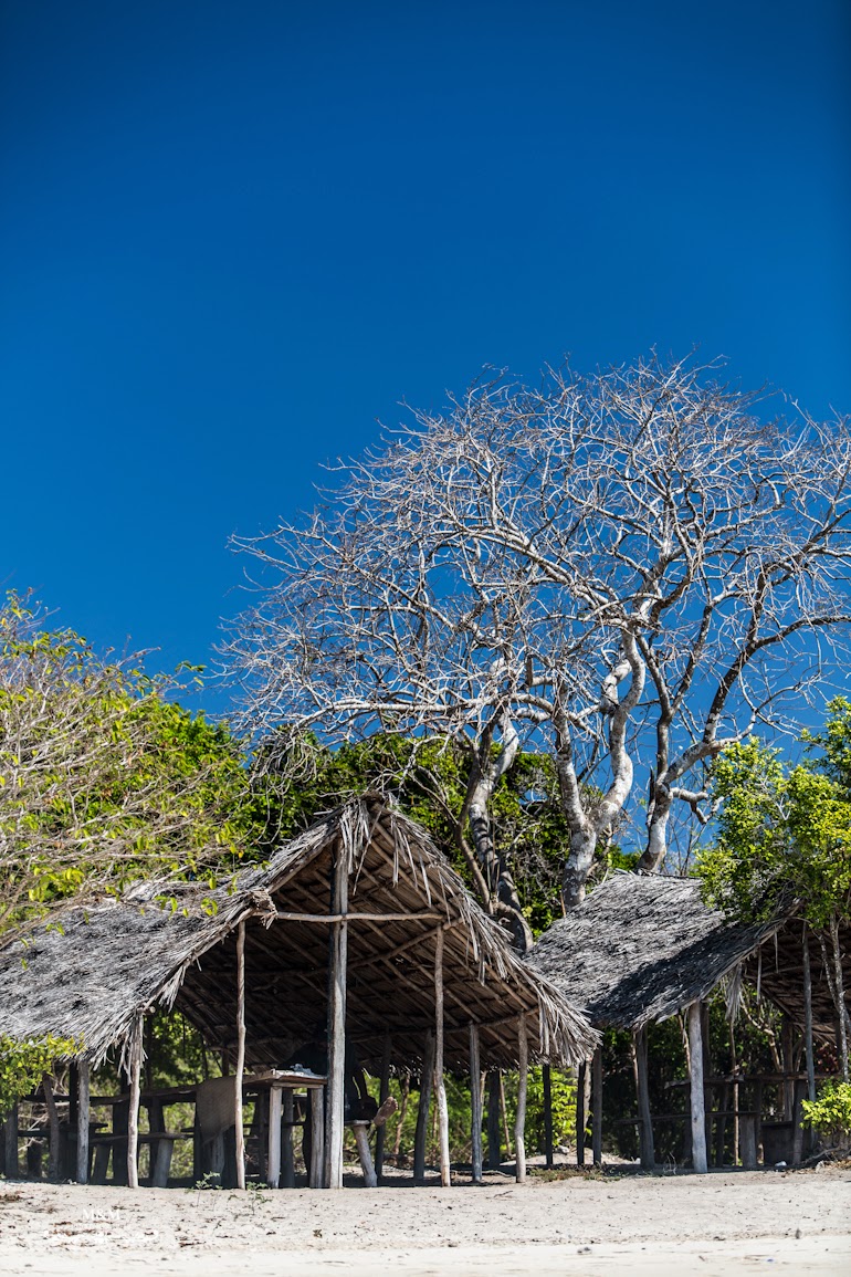 safari blue zanzibar 45