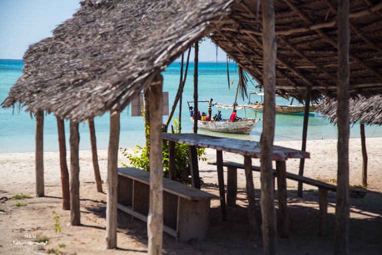 safari blue zanzibar 46