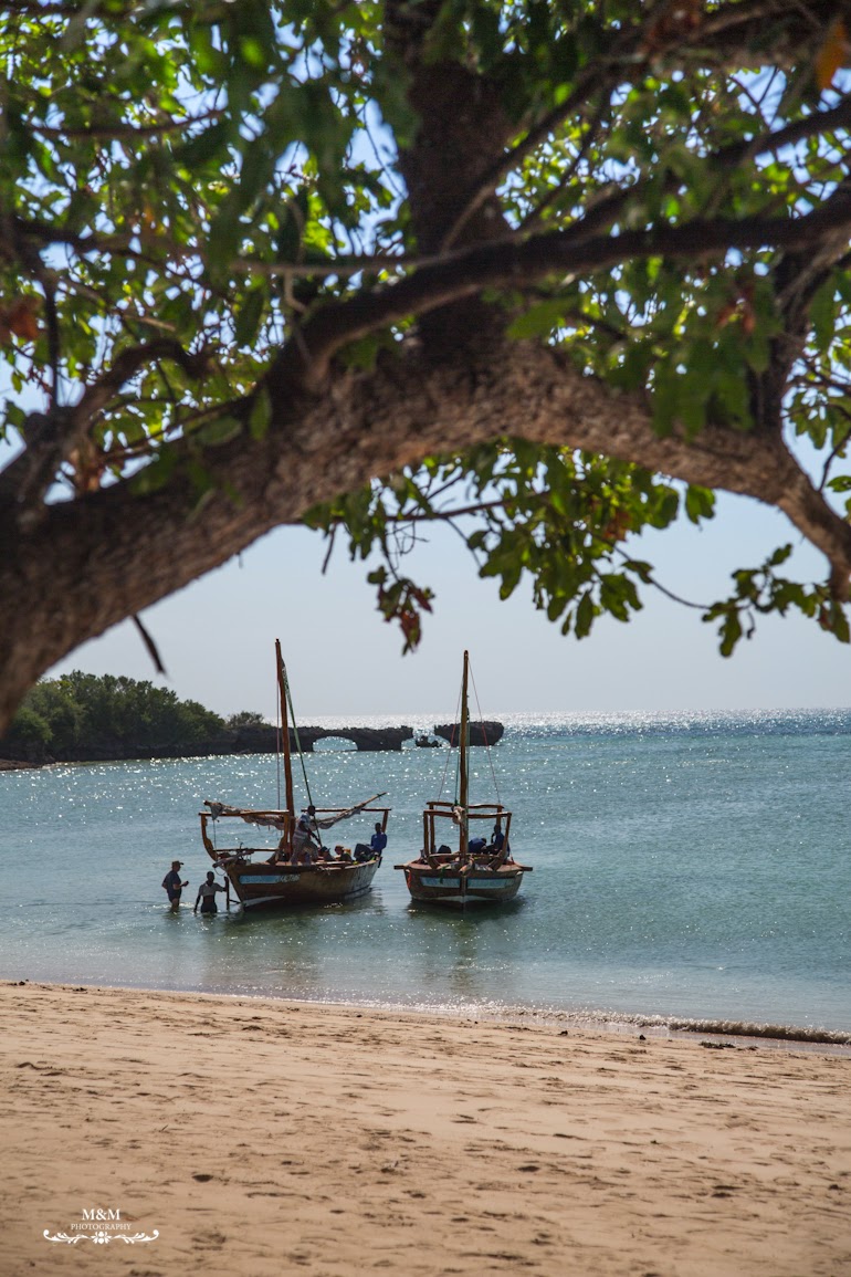 safari blue zanzibar 47