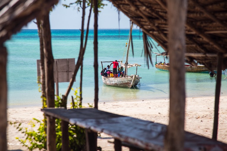 safari blue zanzibar 48