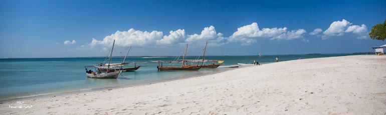 safari blue zanzibar 49