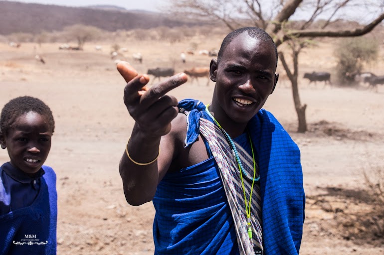 safari park tarangire tanzania 04