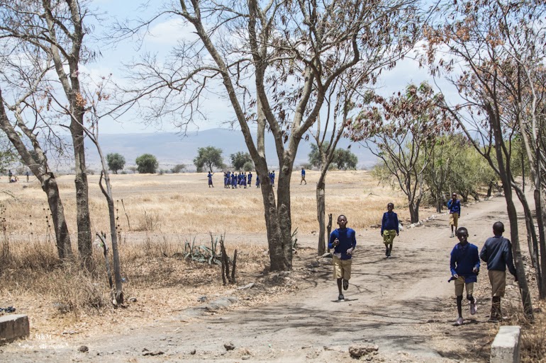safari park tarangire tanzania 07