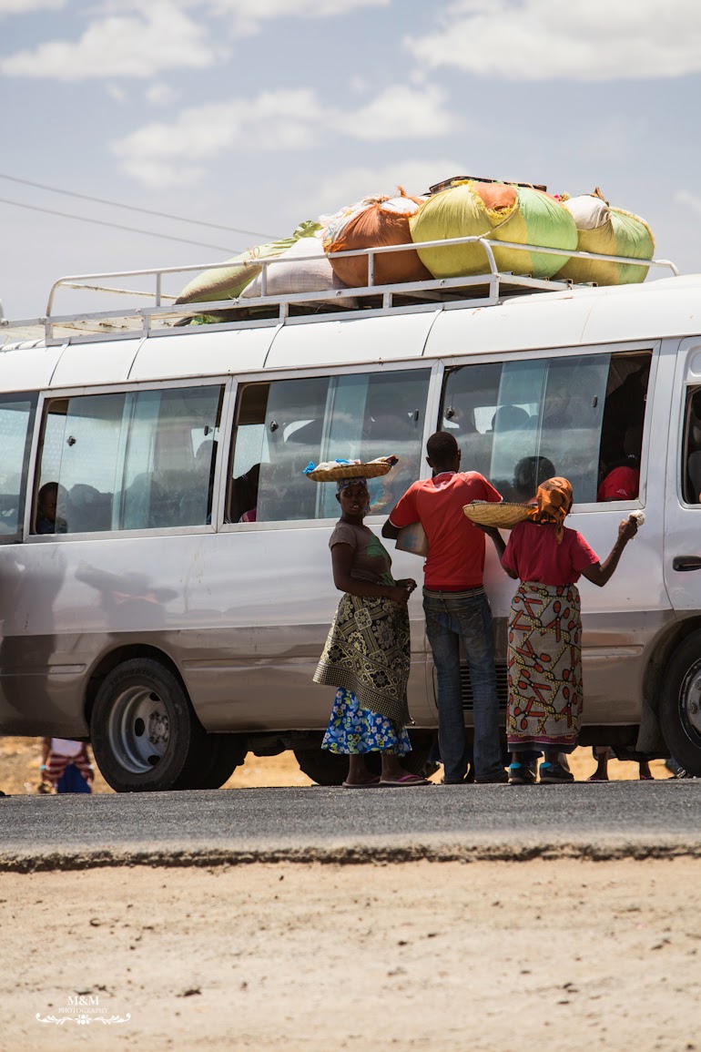 safari park tarangire tanzania 09