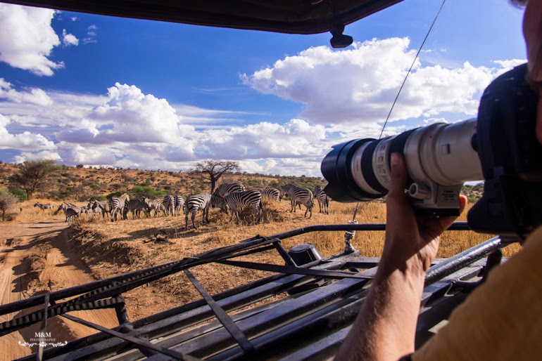 safari park tarangire tanzania 27