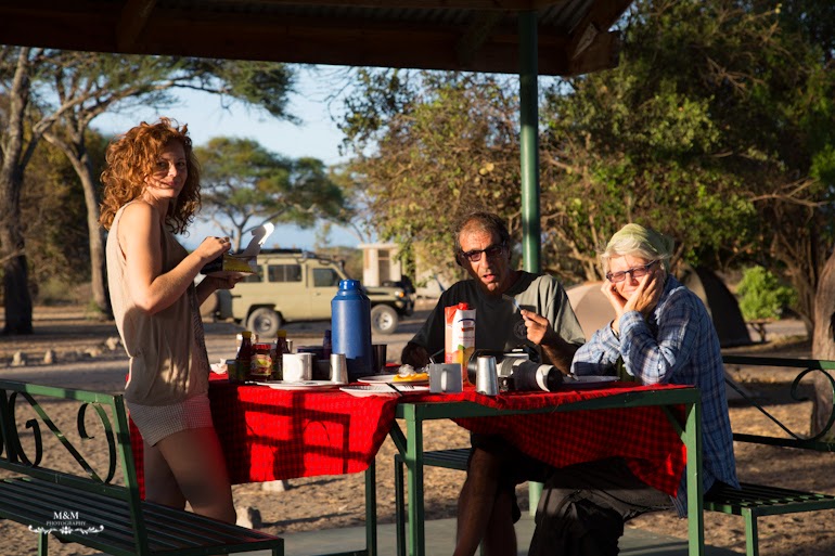 safari serengeti park tanzania 01