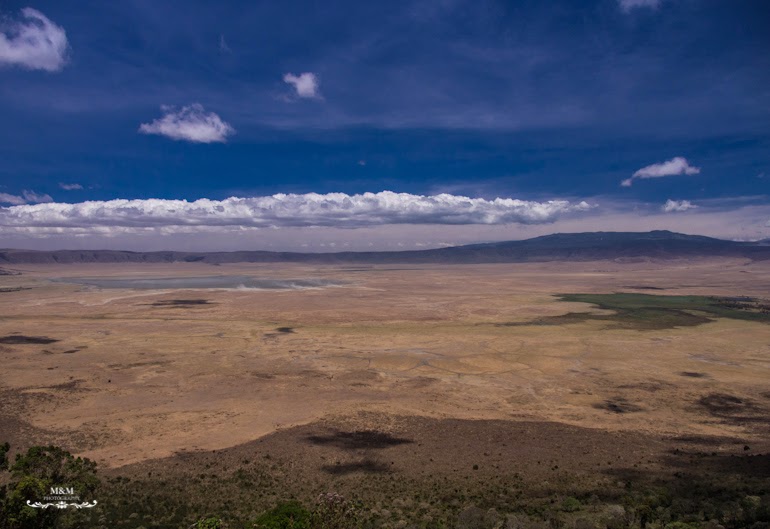 safari serengeti park tanzania 06