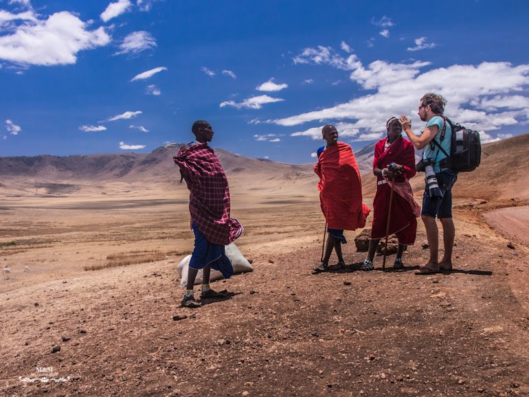 safari serengeti park tanzania 14