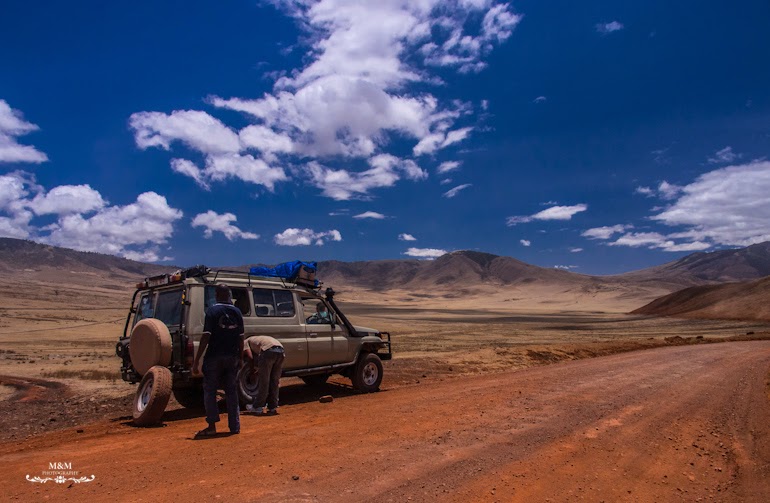 safari serengeti park tanzania 15