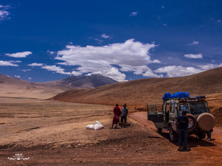 safari serengeti park tanzania 16