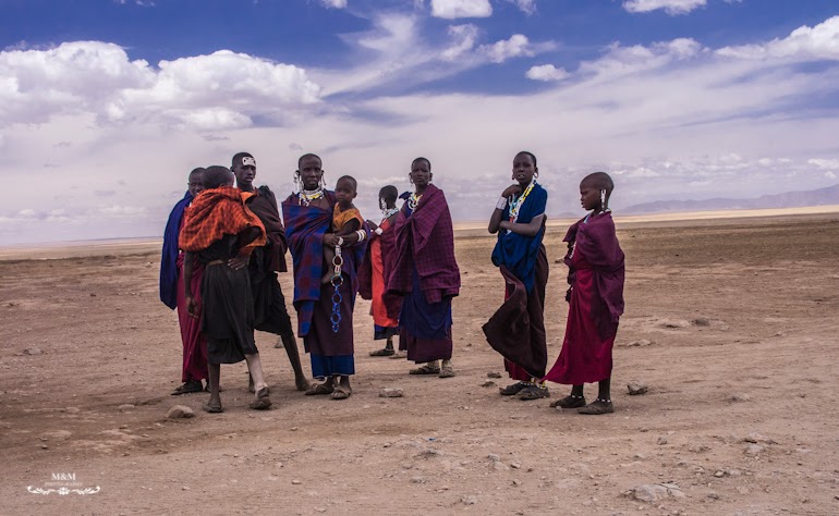 safari serengeti park tanzania 19