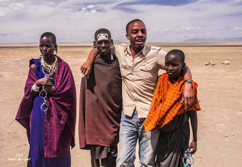 safari serengeti park tanzania 20