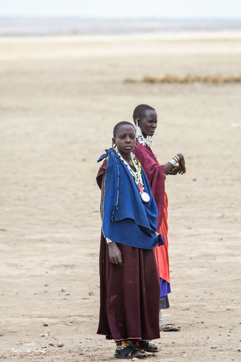 safari serengeti park tanzania 21
