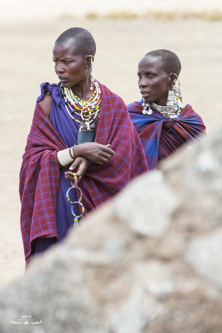 safari serengeti park tanzania 22