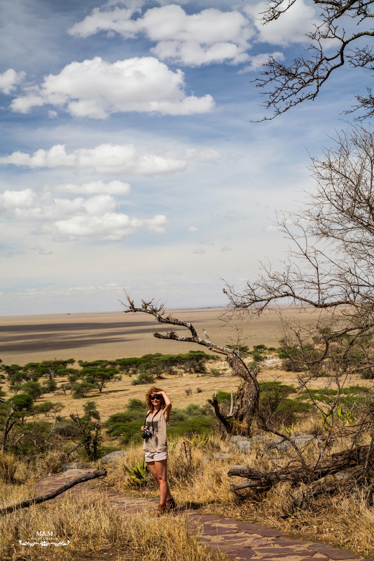 safari serengeti park tanzania 25