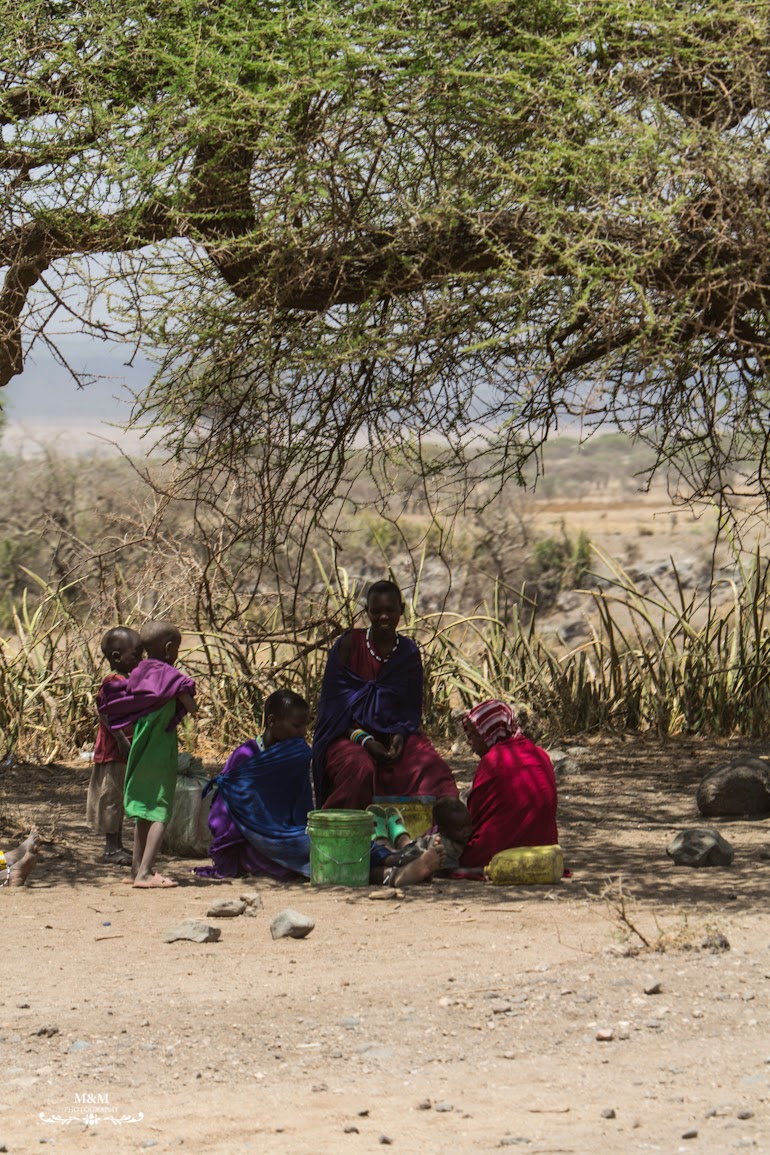 safari serengeti park tanzania 39