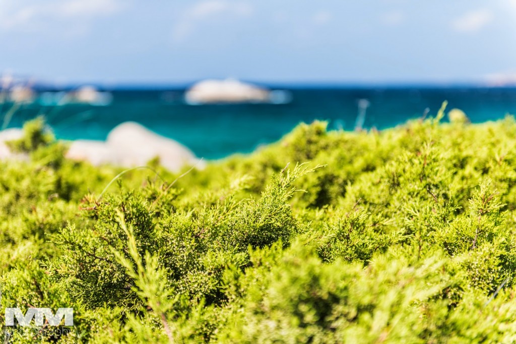 sardynia poradnik informacje praktyczne 01