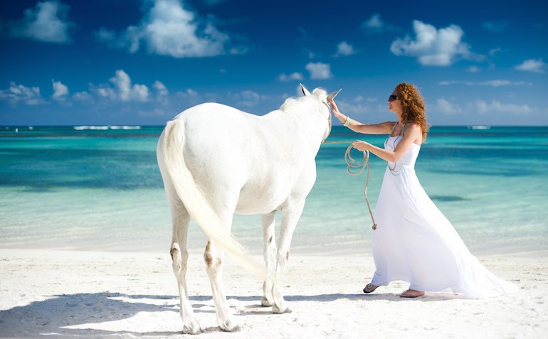 slub na dominikanie 35