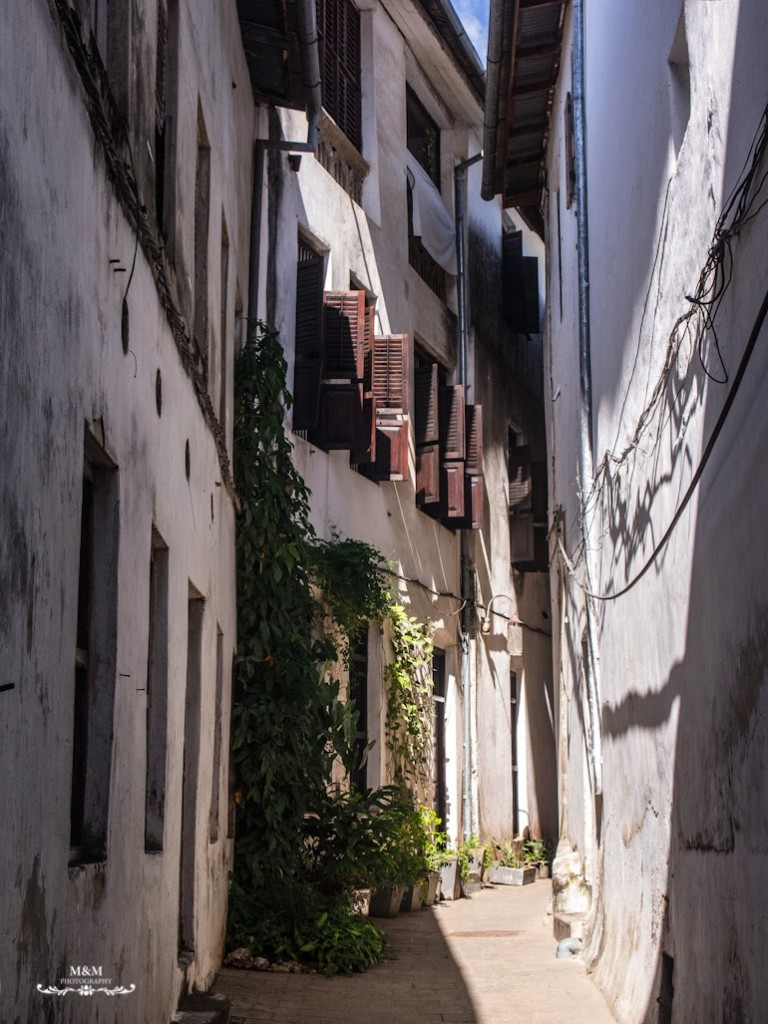 stone town prison island zanzibar 115
