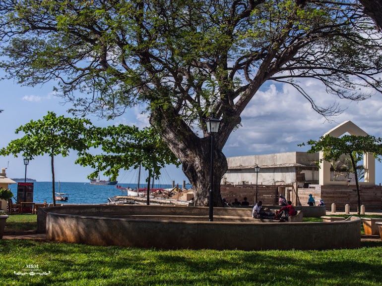 stone town prison island zanzibar 130