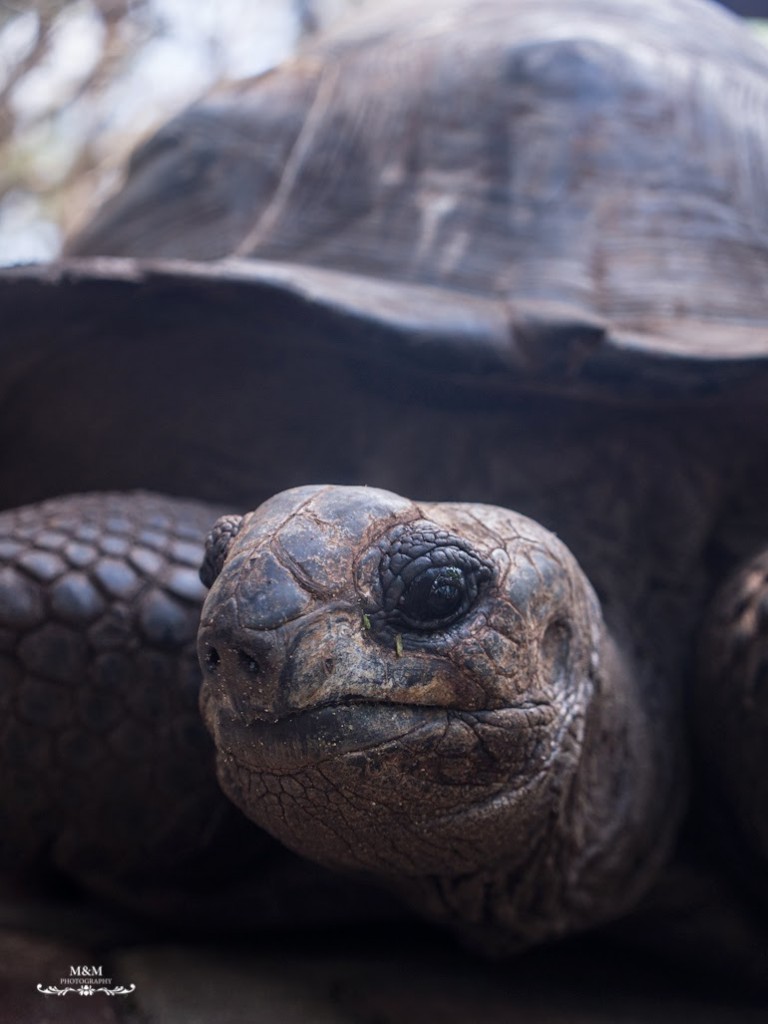 stone town prison island zanzibar 32