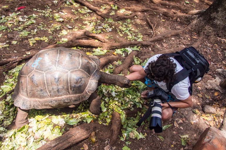 stone town prison island zanzibar 34