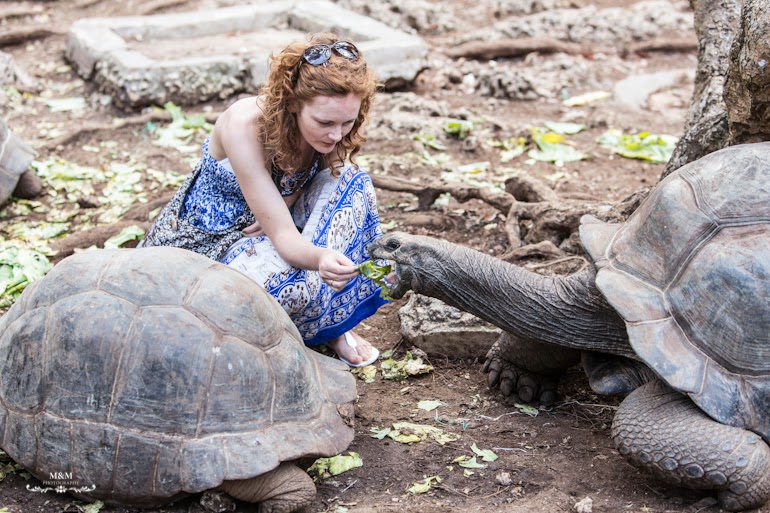 stone town prison island zanzibar 35