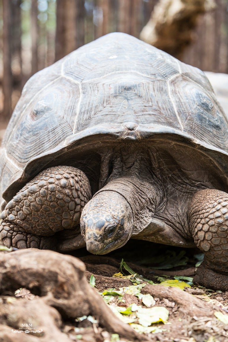 stone town prison island zanzibar 36