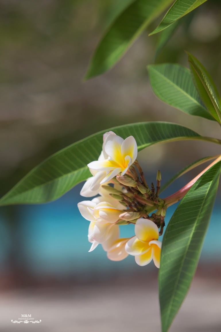 stone town prison island zanzibar 46