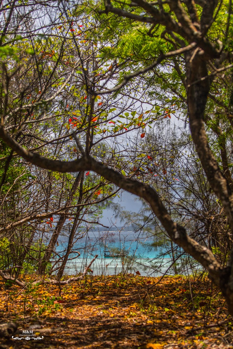 stone town prison island zanzibar 47
