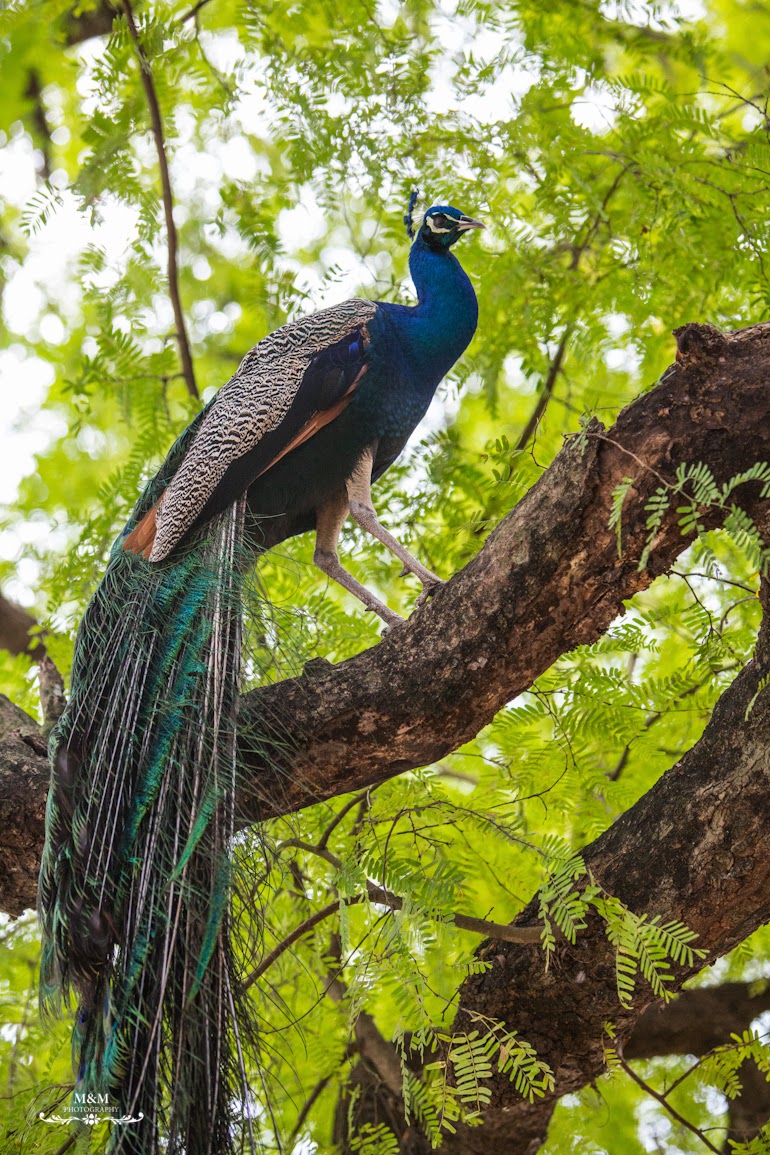 stone town prison island zanzibar 48