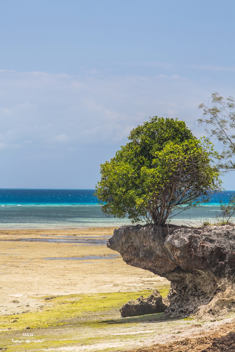stone town prison island zanzibar 53