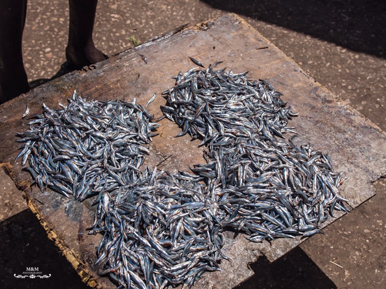 stone town prison island zanzibar 66
