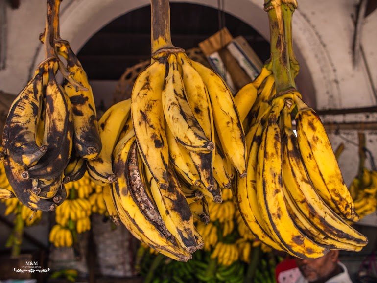 stone town prison island zanzibar 70