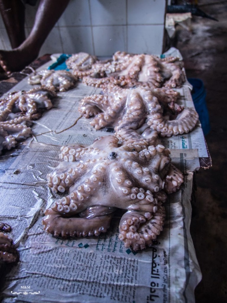 stone town prison island zanzibar 77
