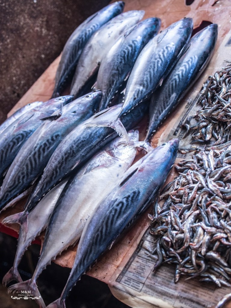 stone town prison island zanzibar 80