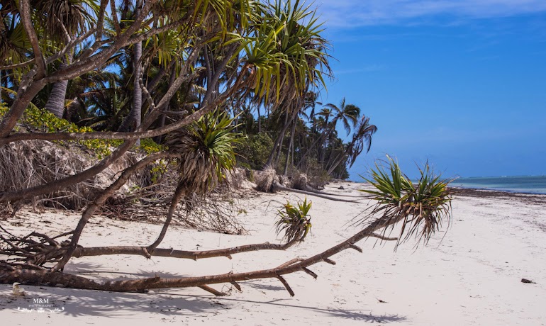 the rock restaurant zanzibar 06