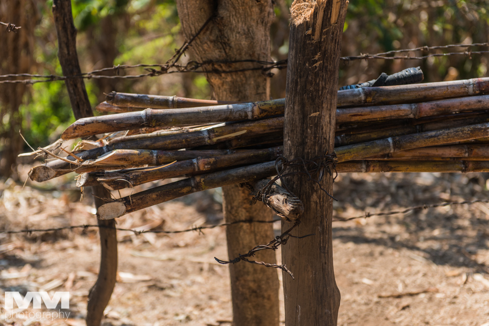 trinidad dolina cukrowa 29