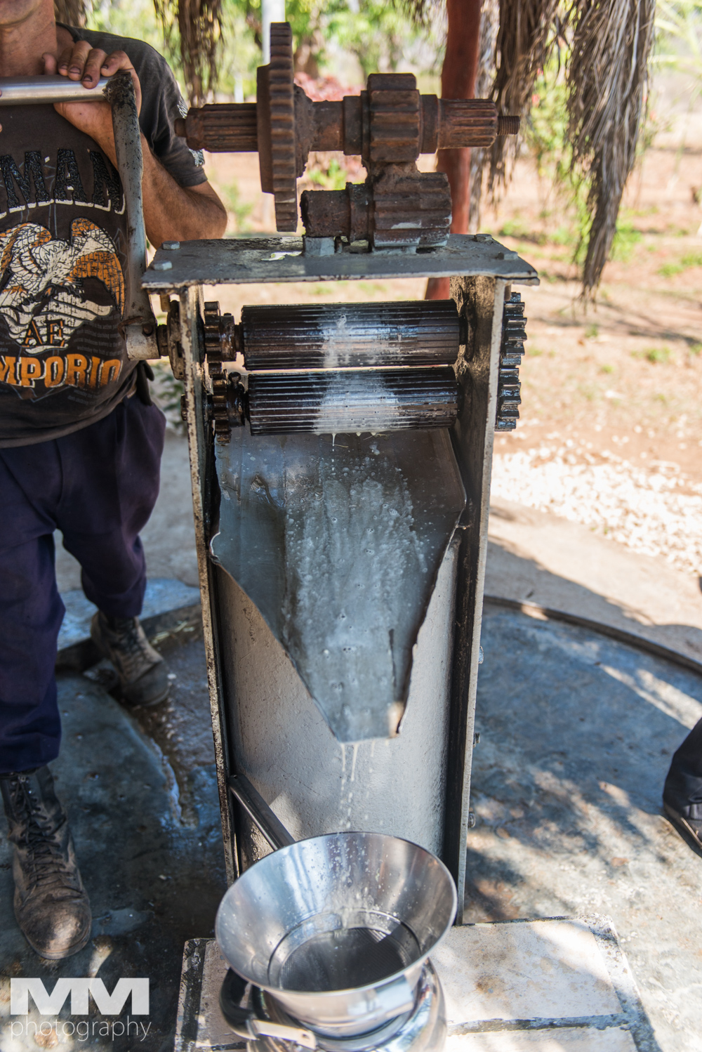 trinidad dolina cukrowa 34