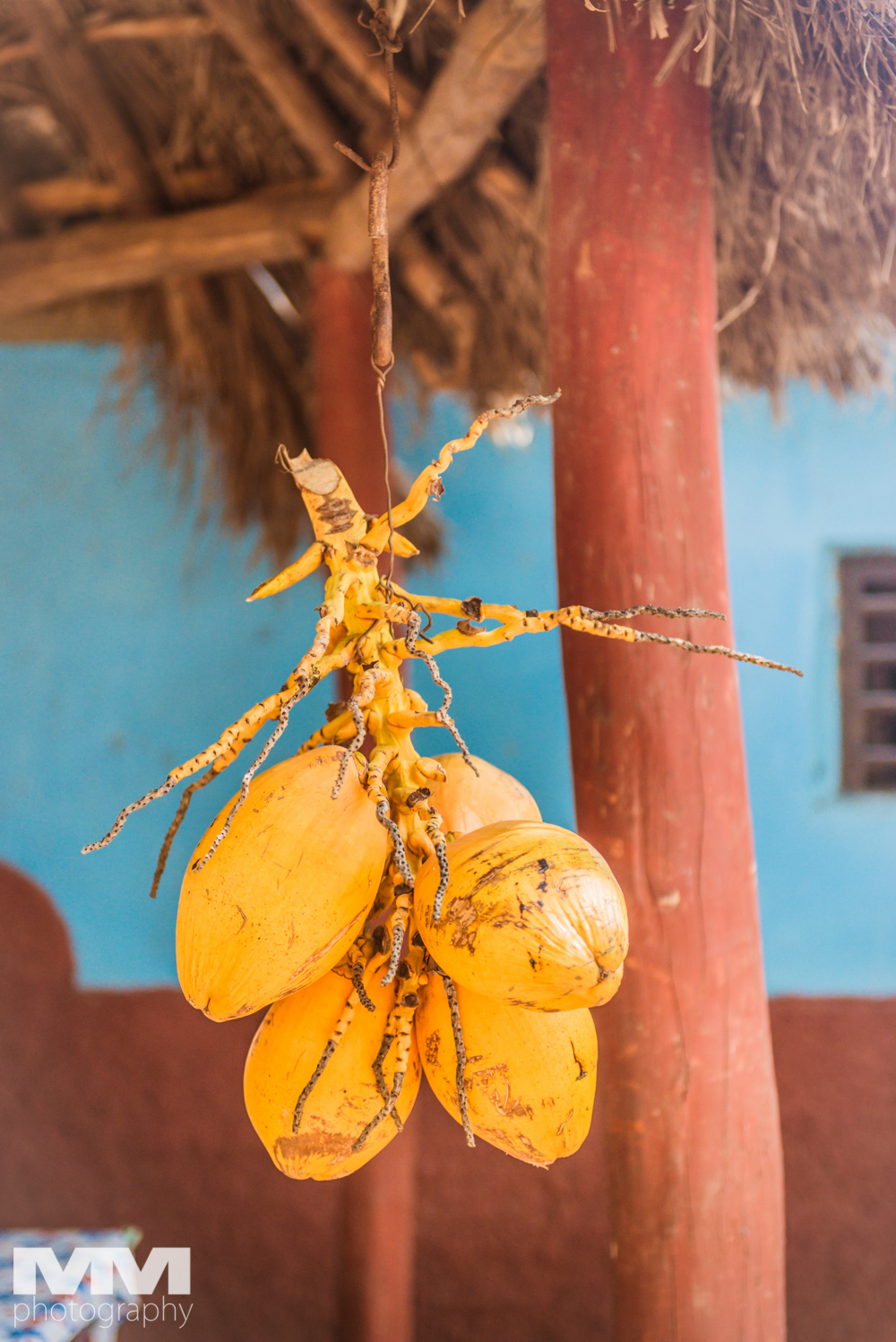 trinidad dolina cukrowa 50